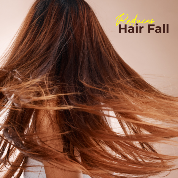 ROSEMARY SHAMPOO for Anti- Hair Fall